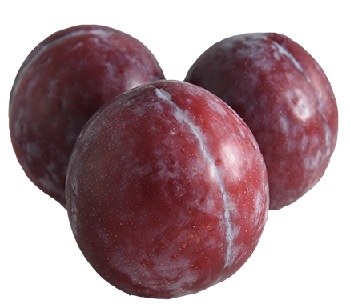 Plums Red -- Per Lb