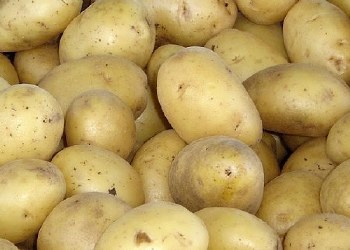Potatoes 5 Lb Bag
