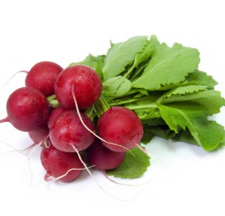 Radishes -- Bunch