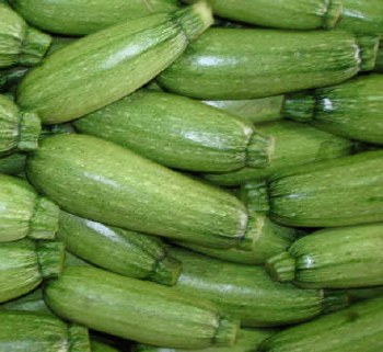 Squash Mexican-  Per Lb