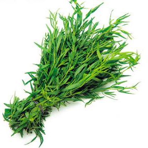 Tarragon .75 oz