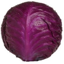 Cabbage Red -- Per Lb