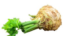 Celery Root -- Each