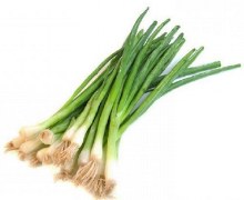 Green Onions -- Bunch