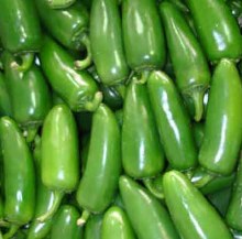 Chile Jalapeno  -- Per  Lb