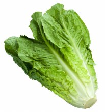 Lettuce Romaine -- Each