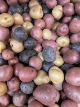 Potatoes Three Color Mini -- Per LB
