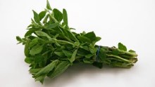 Oregano -- Package .75 oz