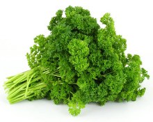 Parsley American -- Bunch