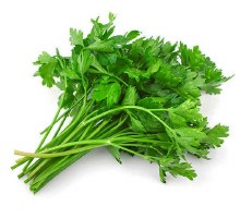 Parsley Italian -- Bunch