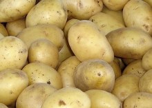 Potatoes 10 Lb Bag