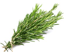 Rosemary -- Package .75 oz