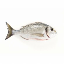 Sea Bream -- Per Lb