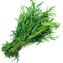 Tarragon .75 oz