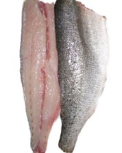 White Trout Fillet