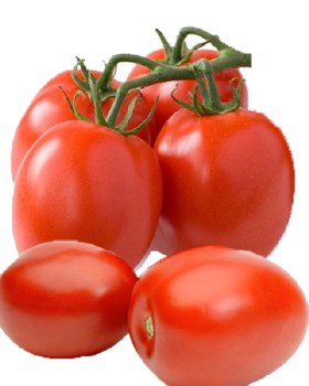 Tomatoes Roma -- Per Lb