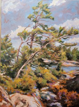Douglas Edwards, Gnarled Pine