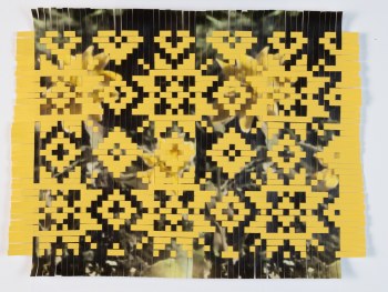 Karl Mata Hipol, Arnica, V439/PS-254