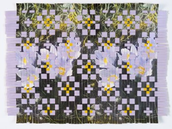 Karl Mata Hipol, Crocus, V527/PS1-557