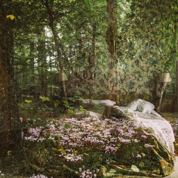 Joanna Johnston, meanwhile the world goes on