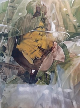 Sandra Manzi, The Metamorphosis