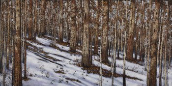 Lynne Schumacher, Woodland Winter