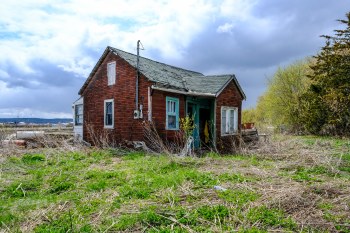 Steven Wilson, Holland Marsh Shack 2