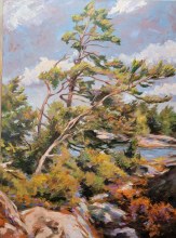 Douglas Edwards, Gnarled Pine