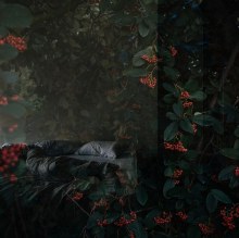 Joanna Johnston, tell me about despair