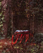Joanna Johnston, in the family of things