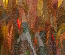 Rob Nicholls, Magic Windows
