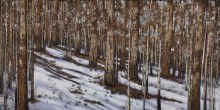 Lynne Schumacher, Woodland Winter