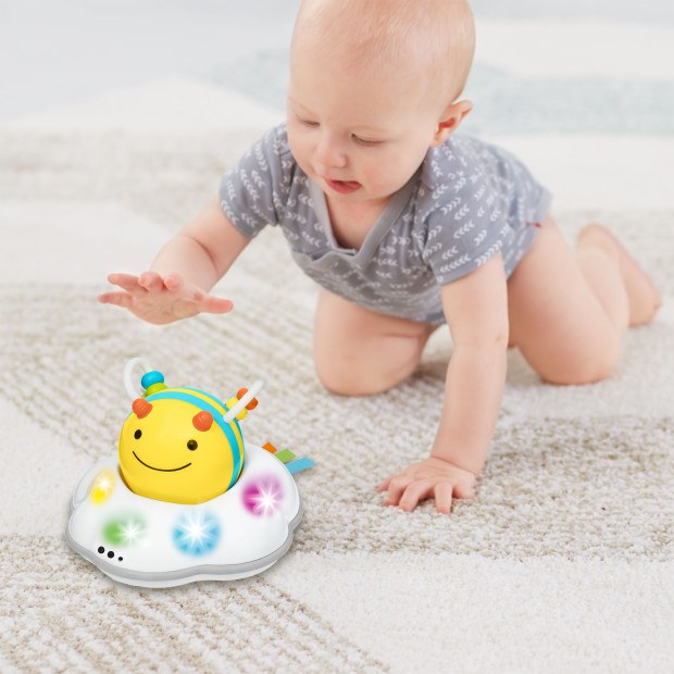 skip hop follow bee crawl toy