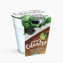 Buzzy Chef Garden Grow Kit- Cilantro