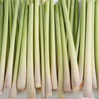 Herb Lemongrass Bunch