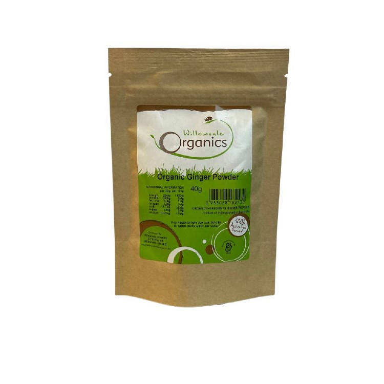 Spice Ginger Powder 40gm