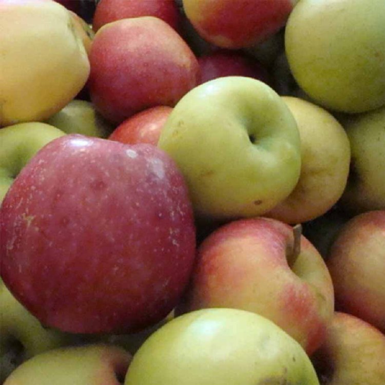 Apples Juice Grade Kilo Buy 1kg