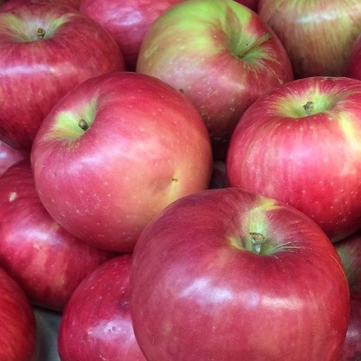 Apple Lady William 500gm