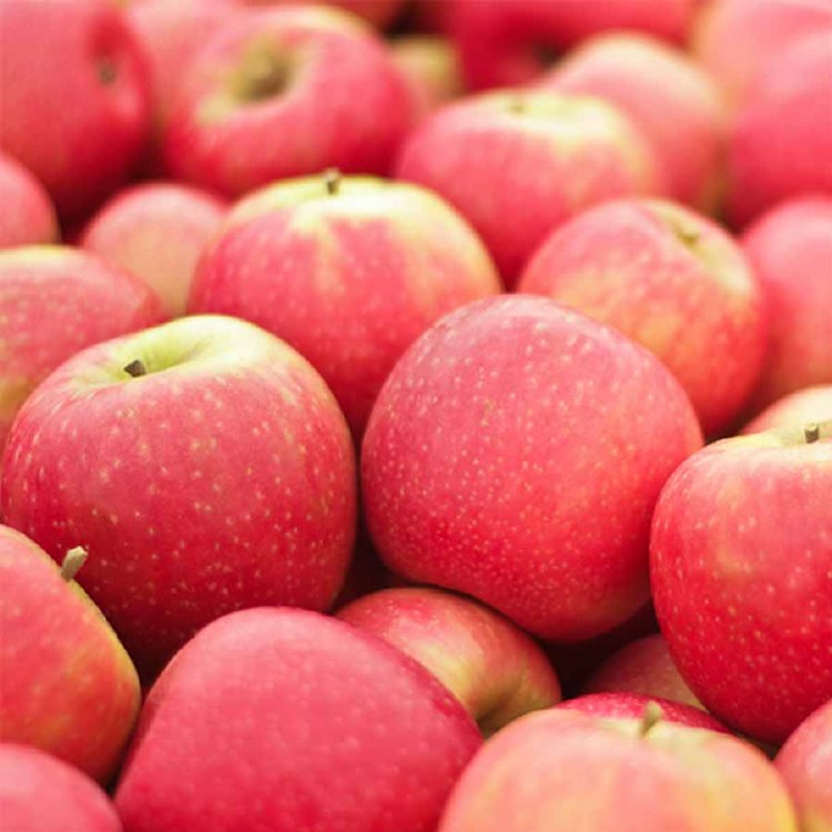 Apple Pink Lady 500gm