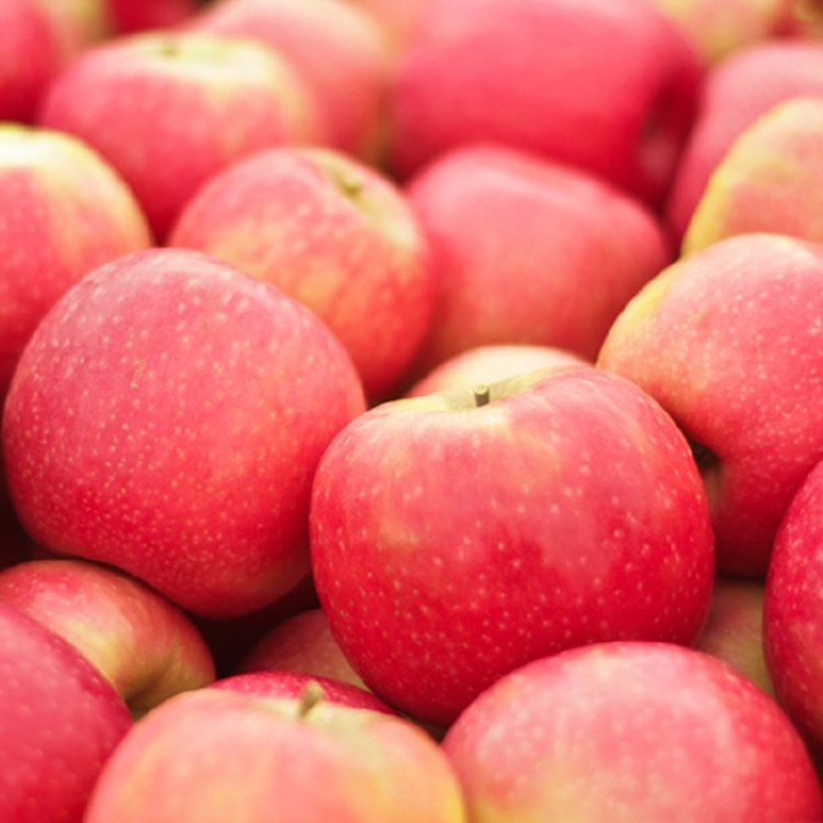 Apple Sundowner 500gm