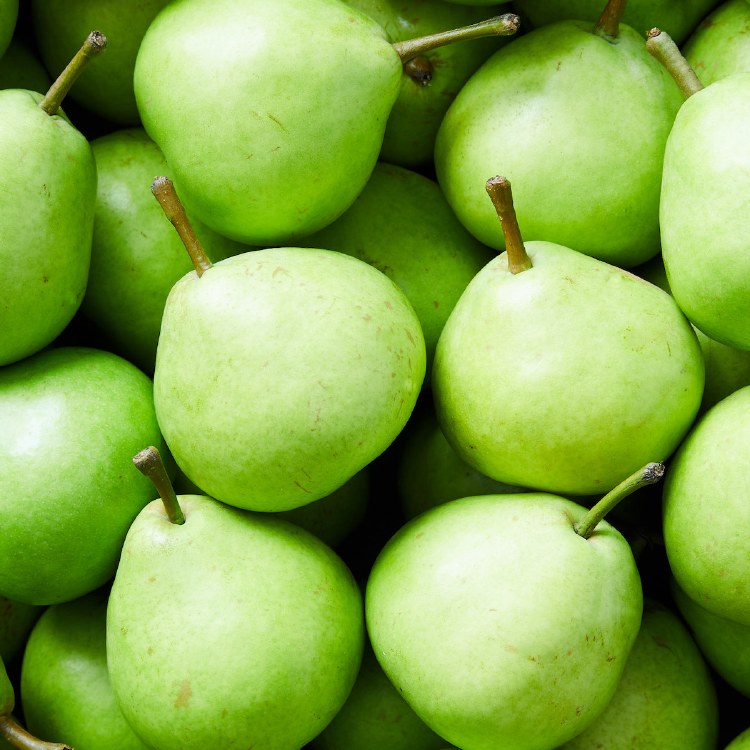 Pears Josephine Kilo Buy 1kg