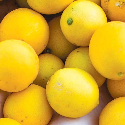 Lemons Meyer Kilo Buy 1kg