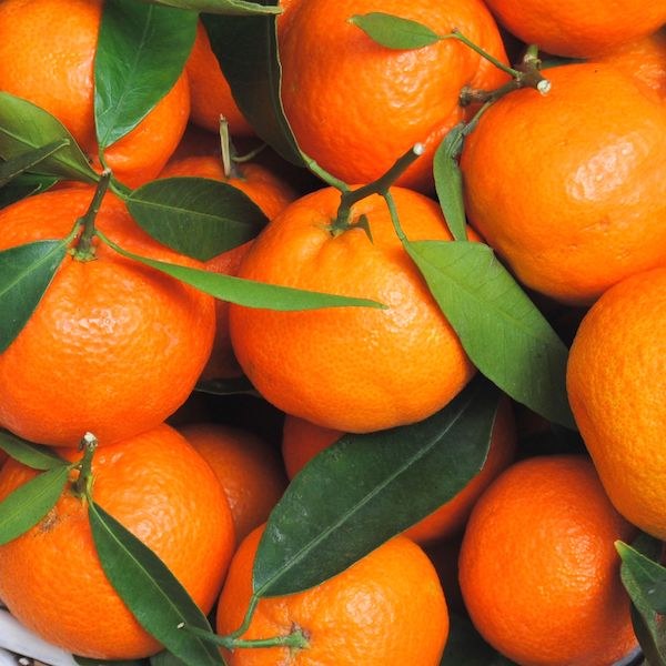 Mandarins Afourer 500gm