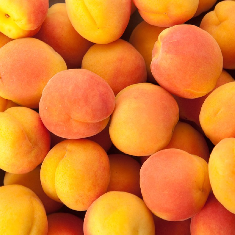 Apricots 500gm