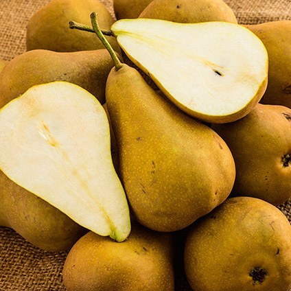 Pears Buerre Bosc Kilo Buy 1kg