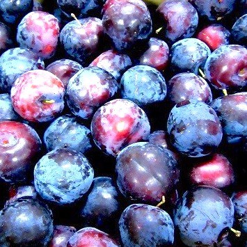 Plums Black Amber 500gm