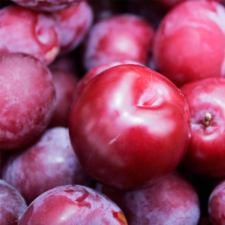 Plums  Early Queen 500gm