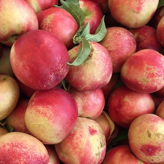 Nectarine White 500gm