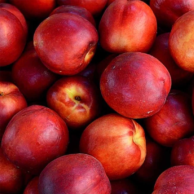 Nectarine Yellow 500gm