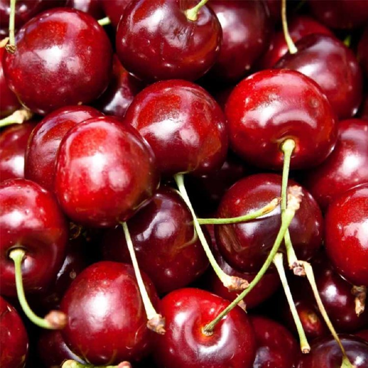 Cherries 500gm Larger Bag